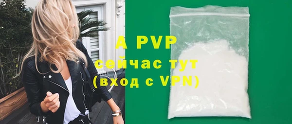 крисы Богданович