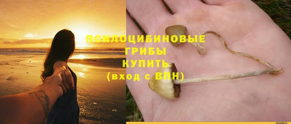 MDMA Premium VHQ Богородицк