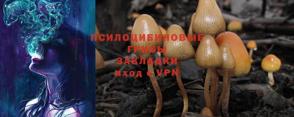 крисы Богданович