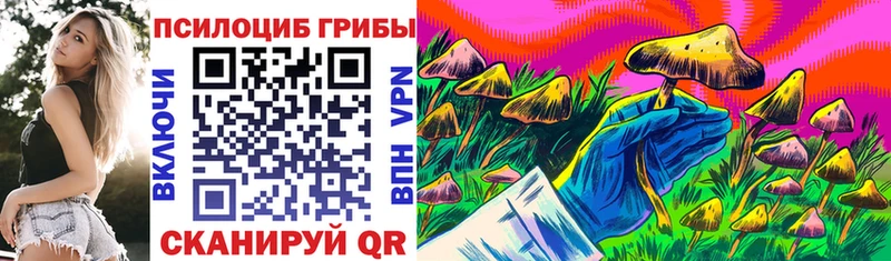 Псилоцибиновые грибы ЛСД  Купить  Белый 